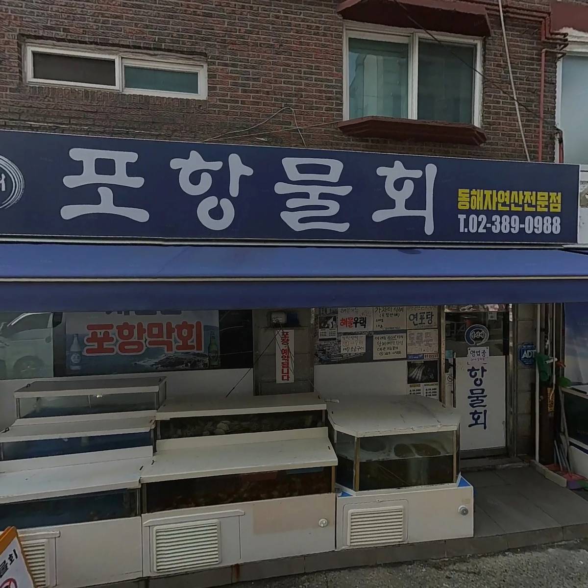 골드세븐