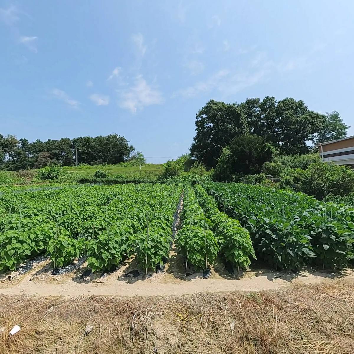 대한건설 주식회사_3