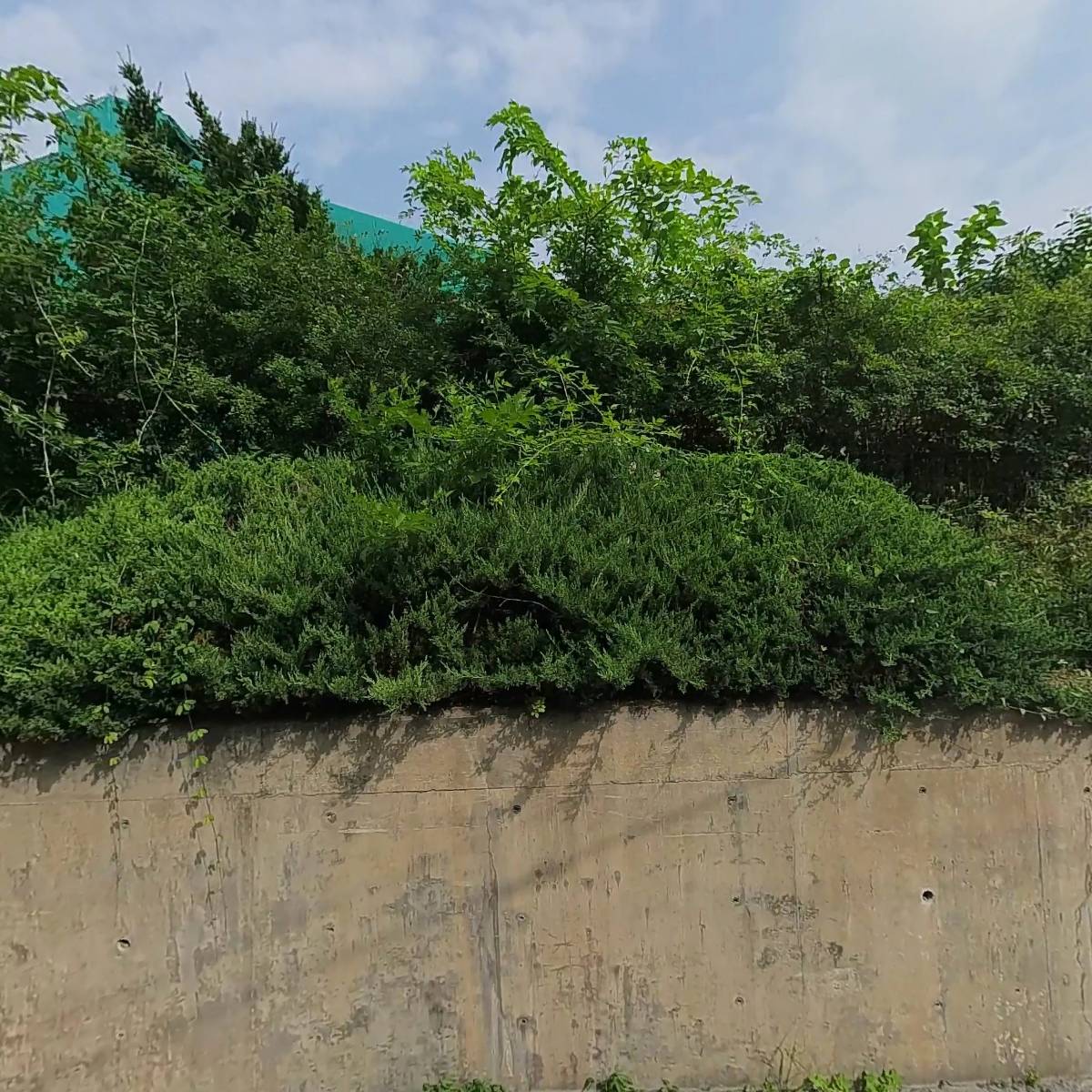 대우컴바인(주) 청주공장