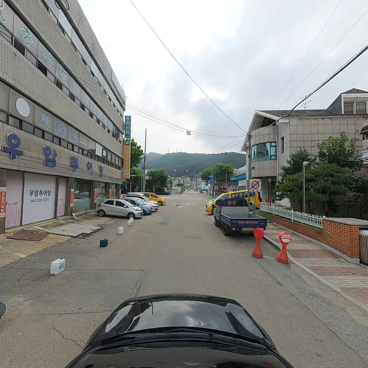 팜필리아_4