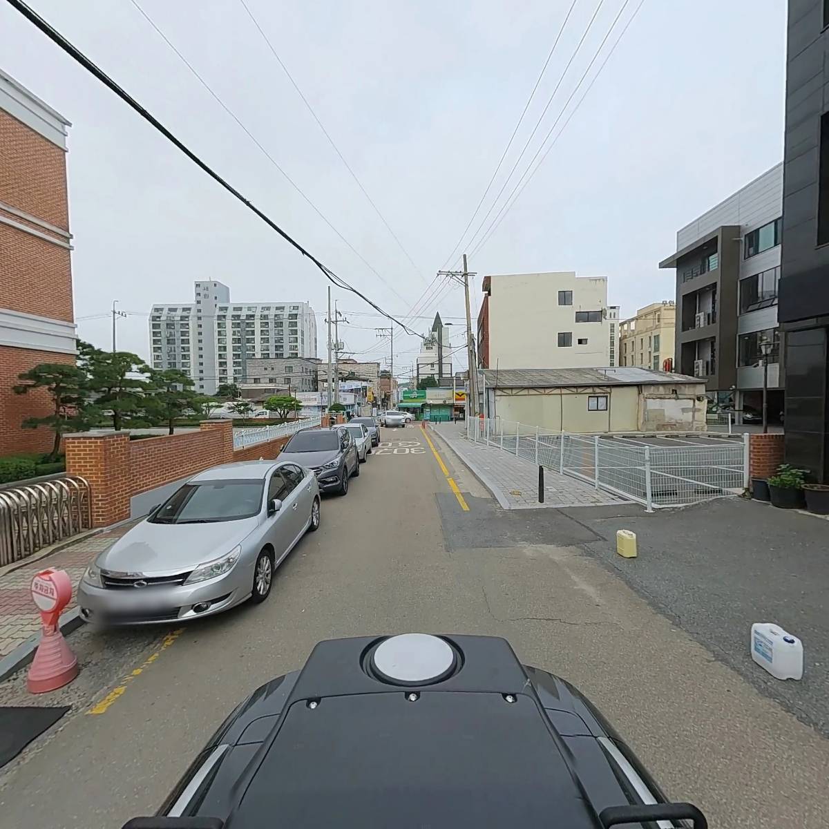 팜필리아_2