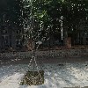 두원
