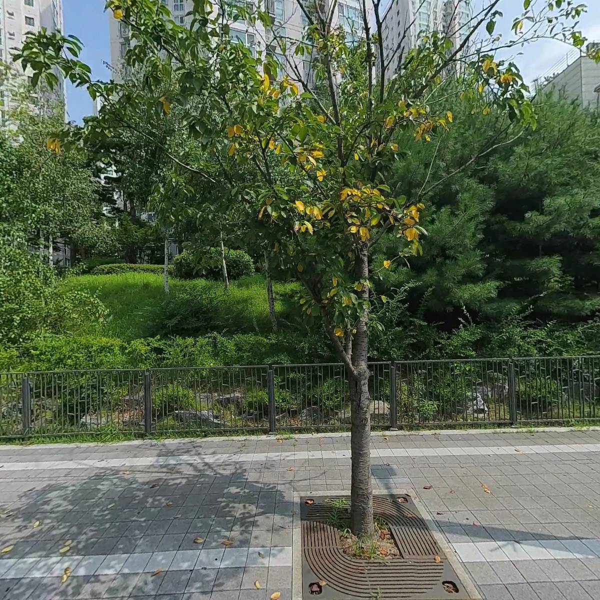 경기카센타