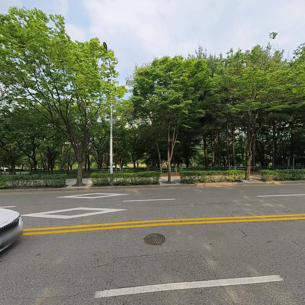 이효란_3