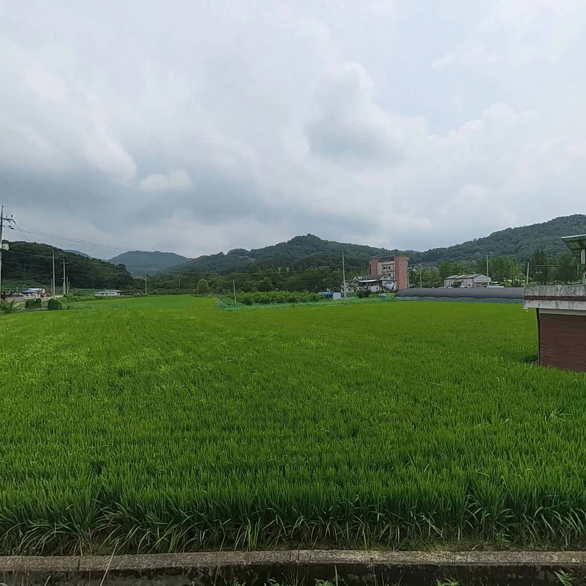 쇼핑연합_3