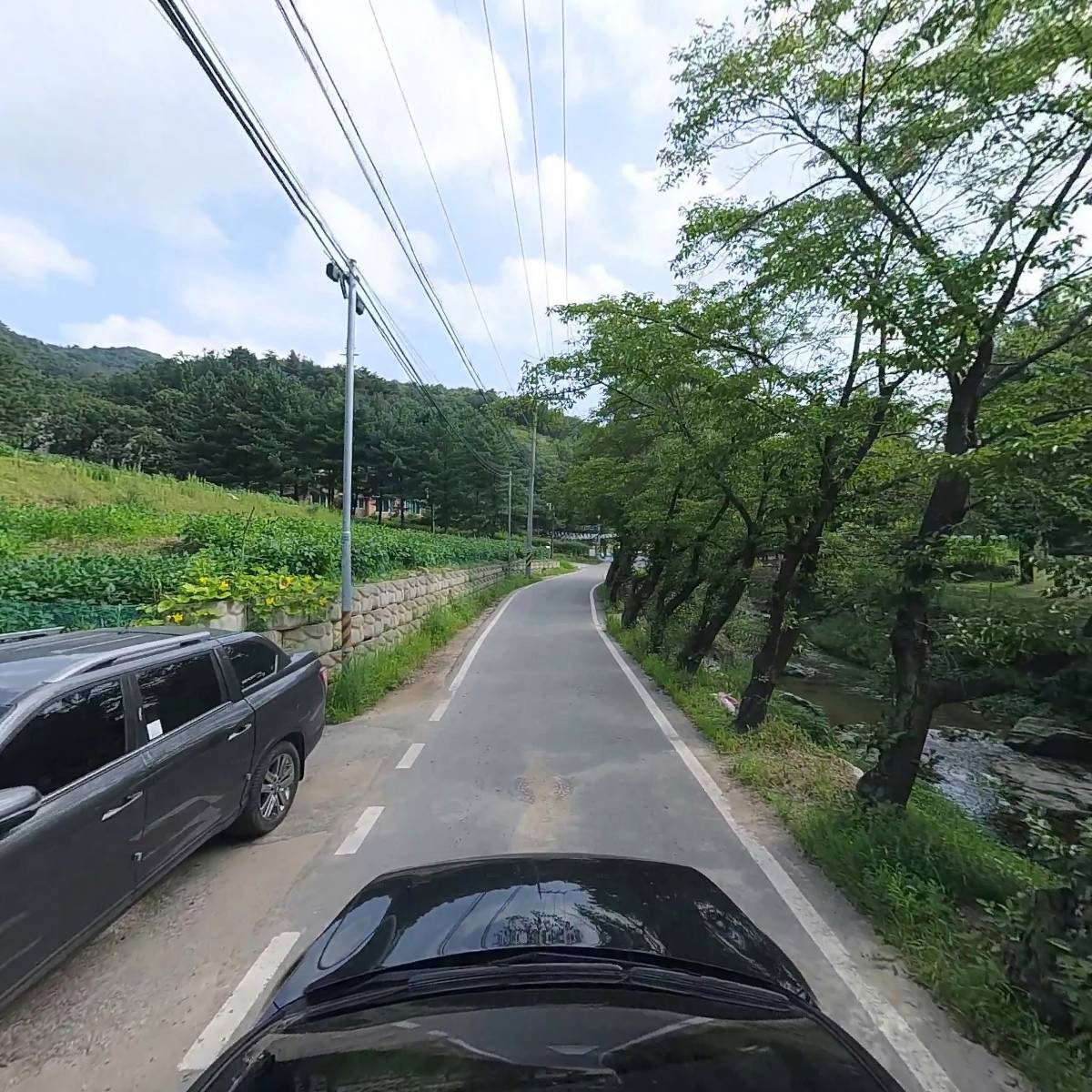 플로무드_4