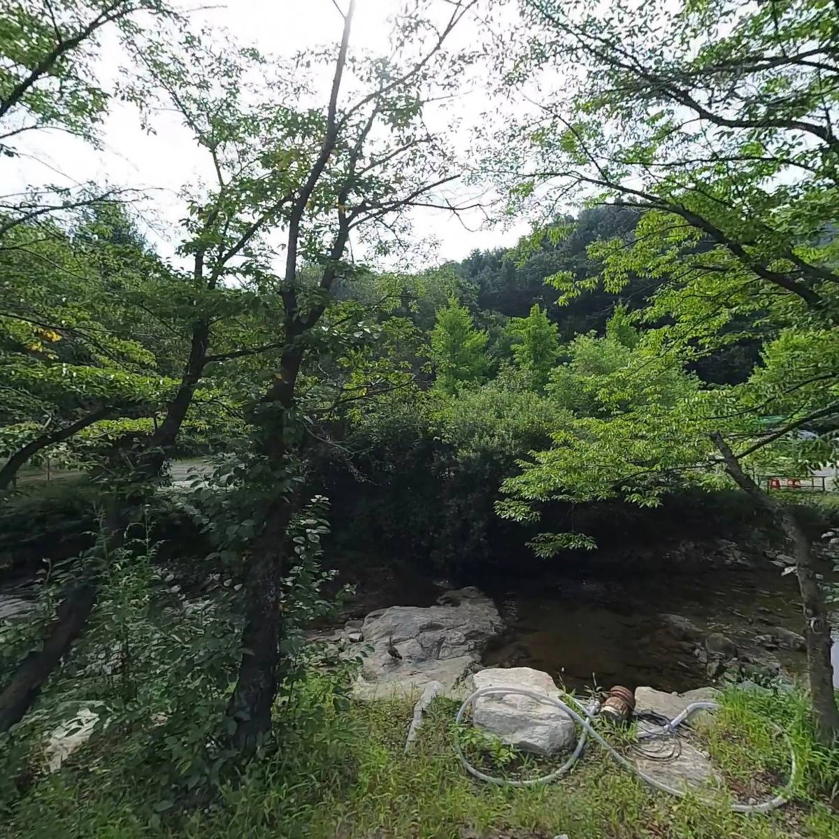 플로무드