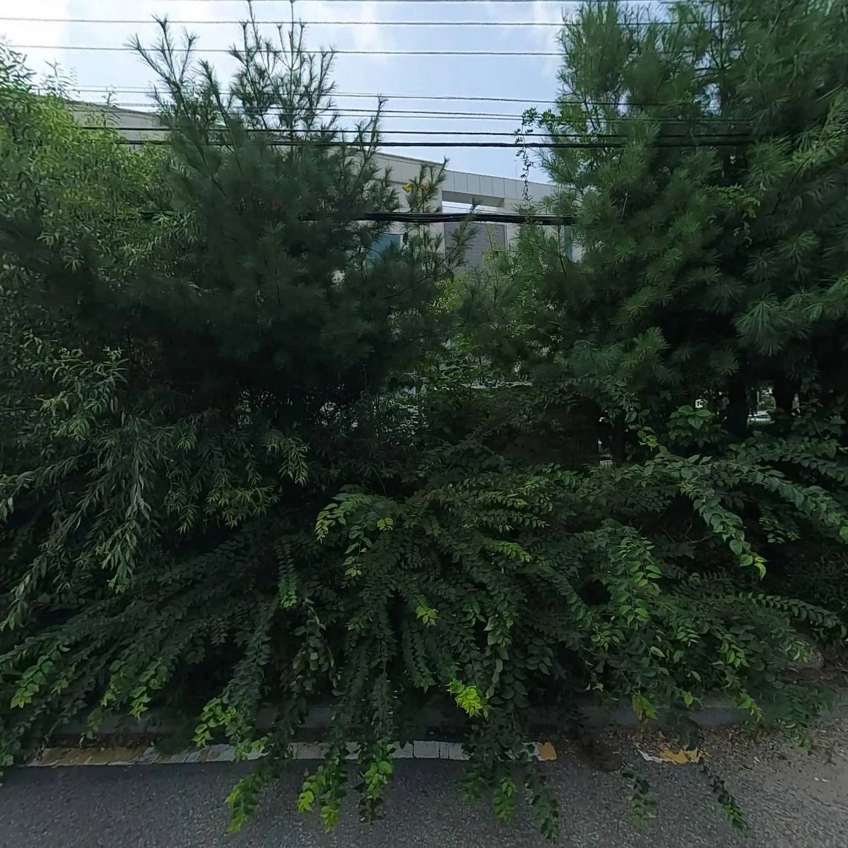 펠리체 스킨앤바디