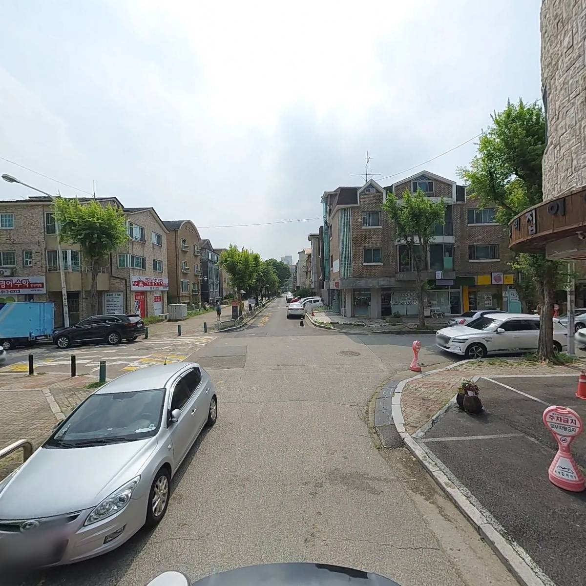 캐노픽스코리아_2