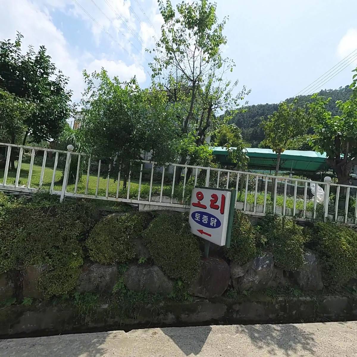 구니카코리아_3