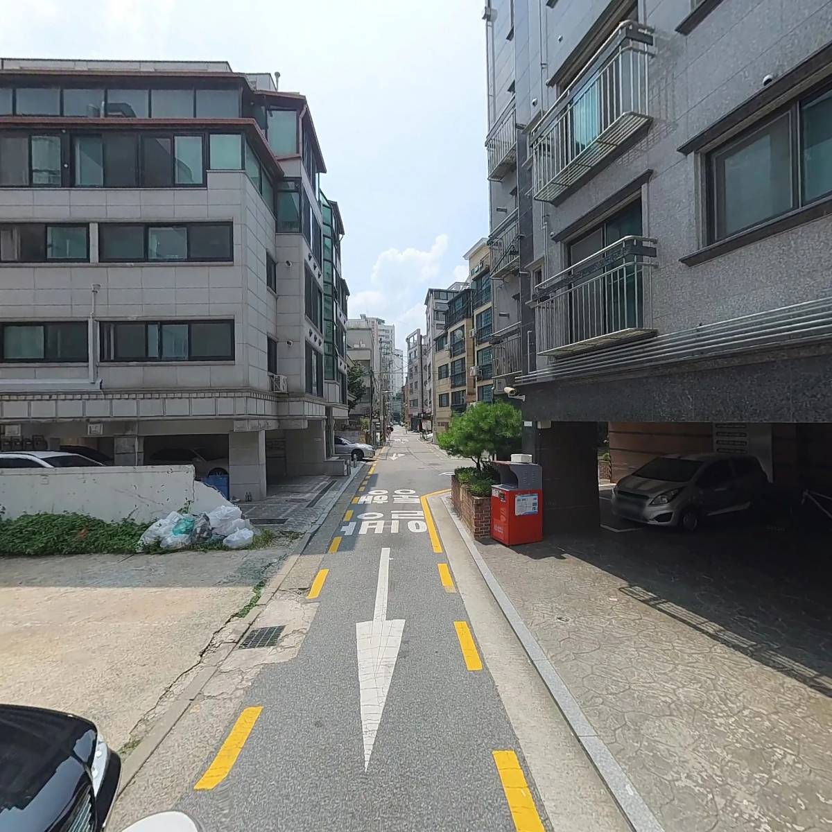 장인미역_2