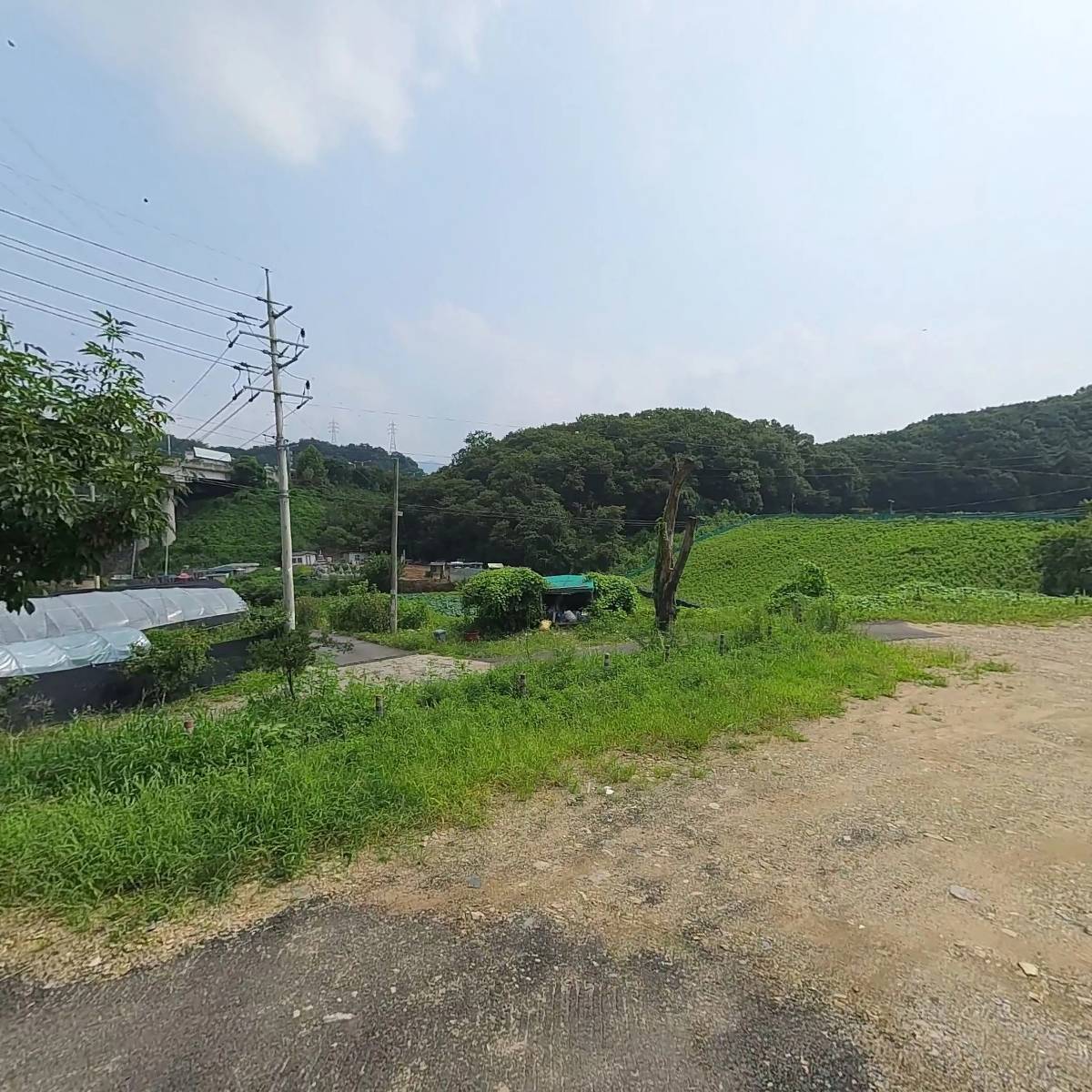 한국부푸리