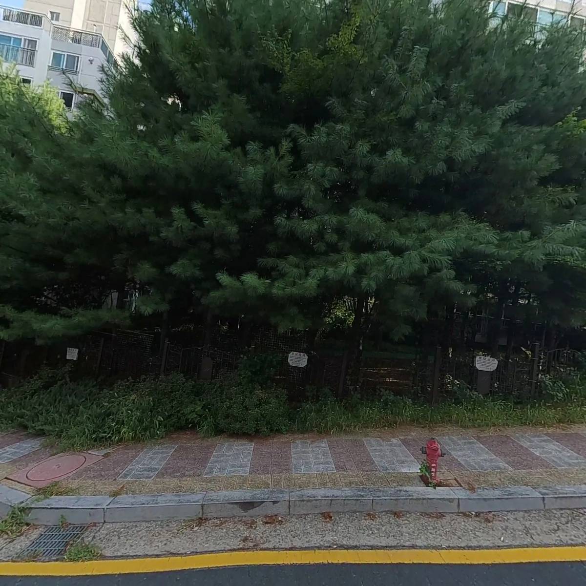 구립다음어린이집_3