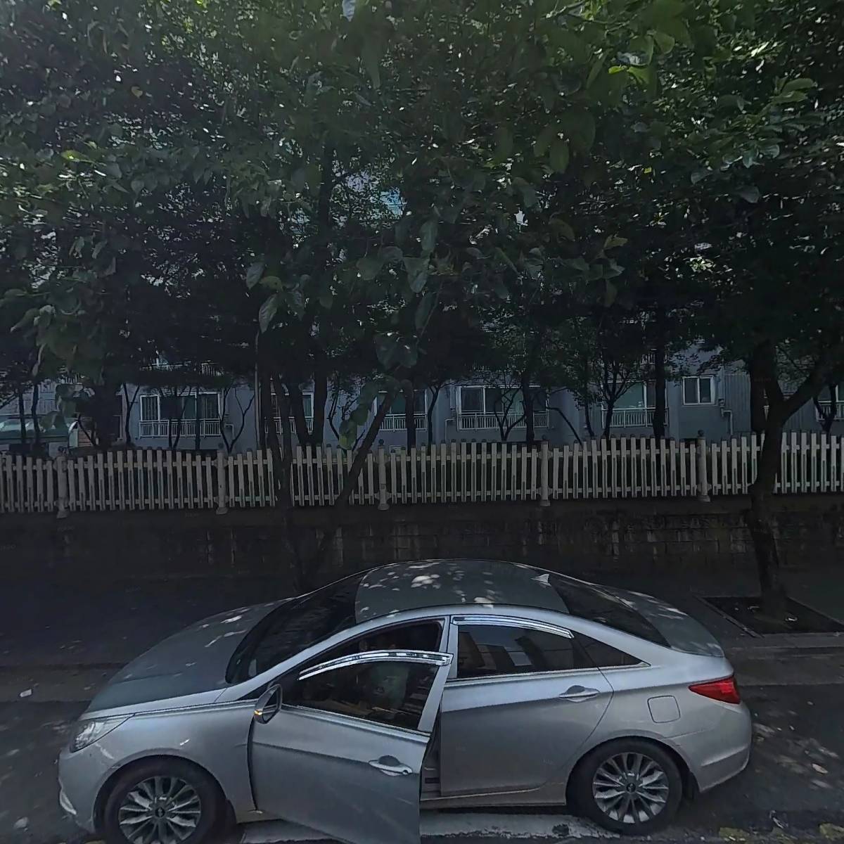 쇼디자인