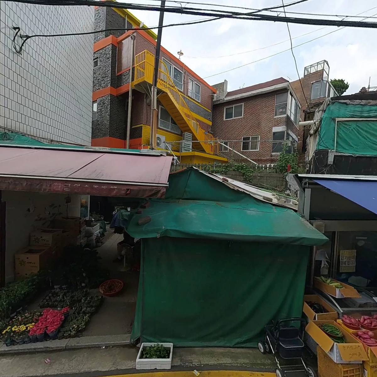 미노메딕스_3