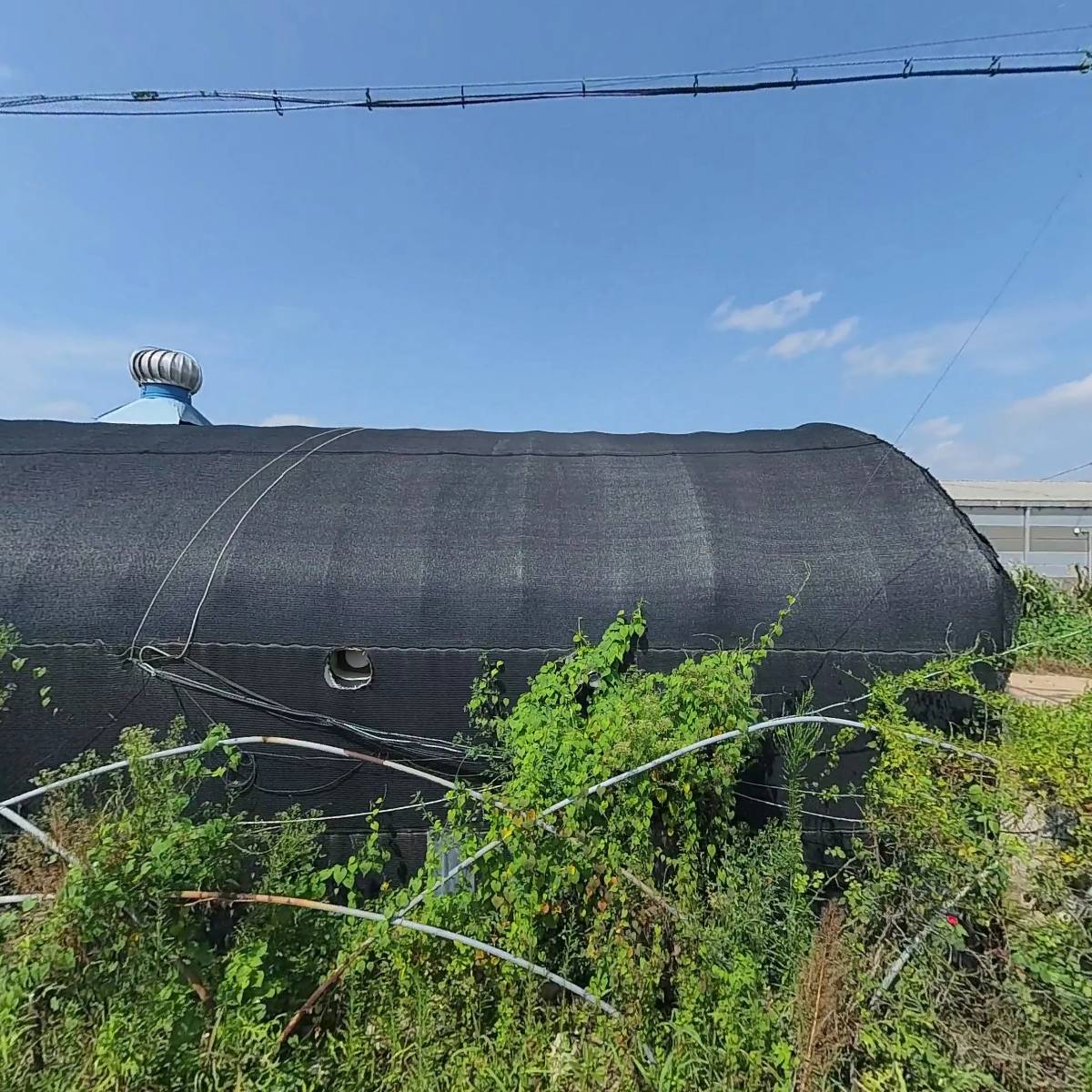(주)예진스트링_3
