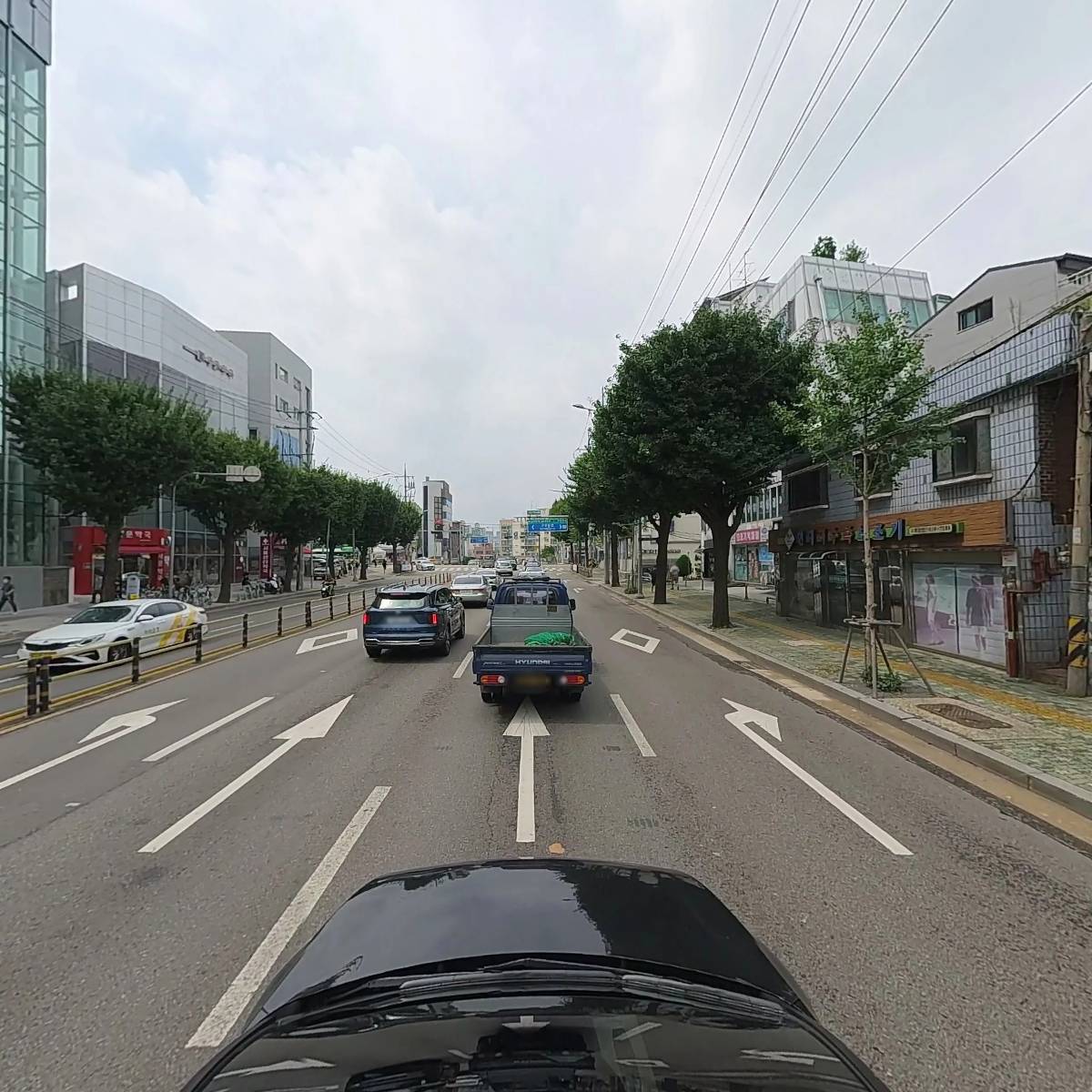 한국척추측만증재단_4