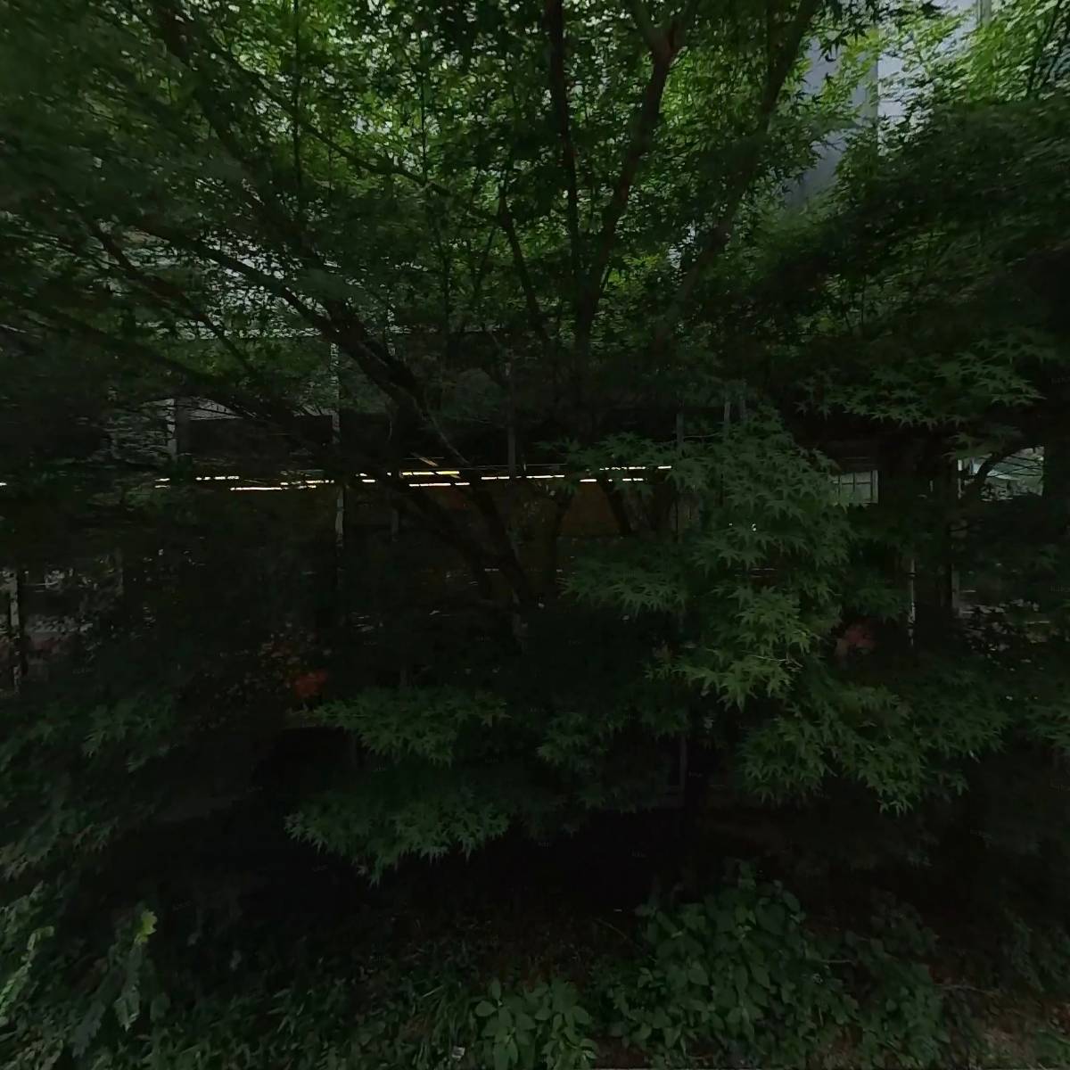 옐로우독 다고바엑스 투자조합