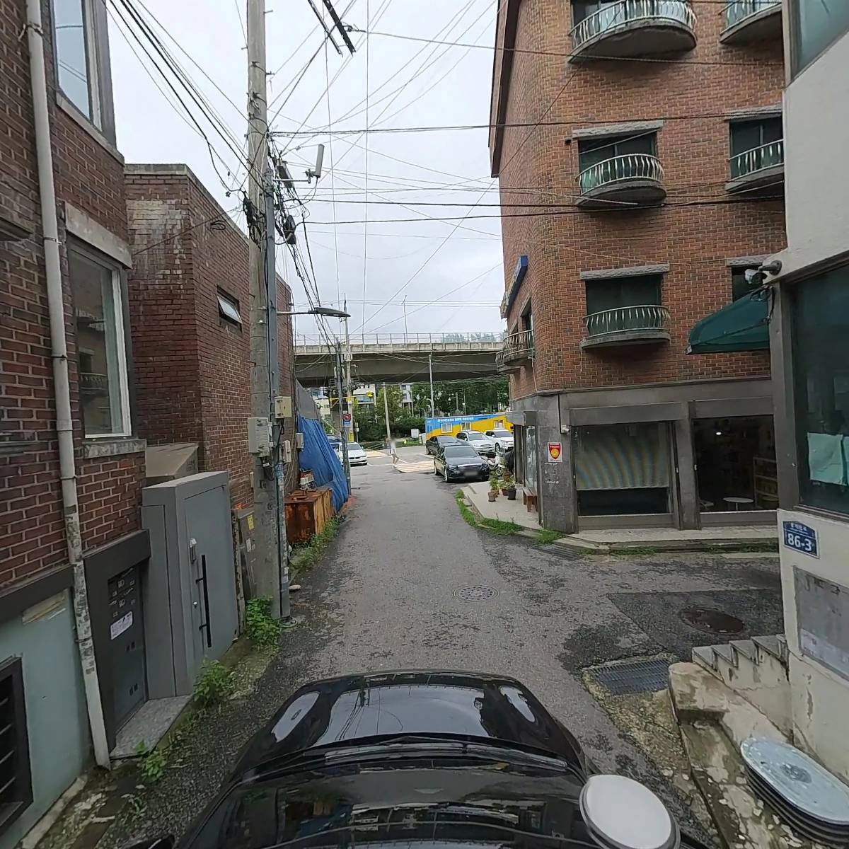 릴라독_4