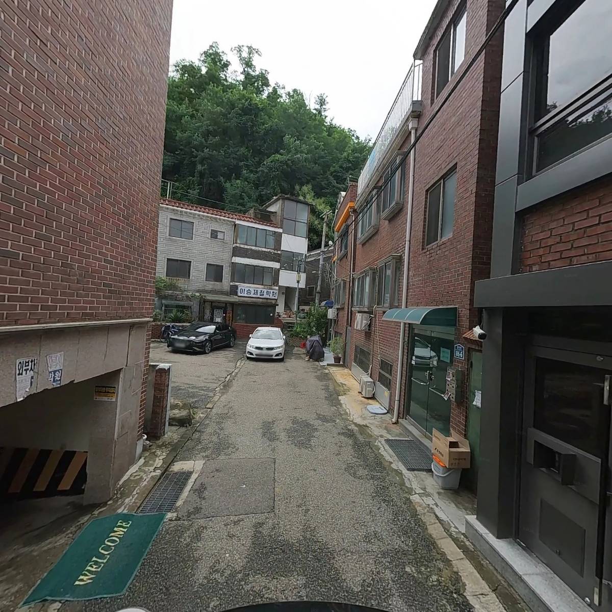 릴라독_2