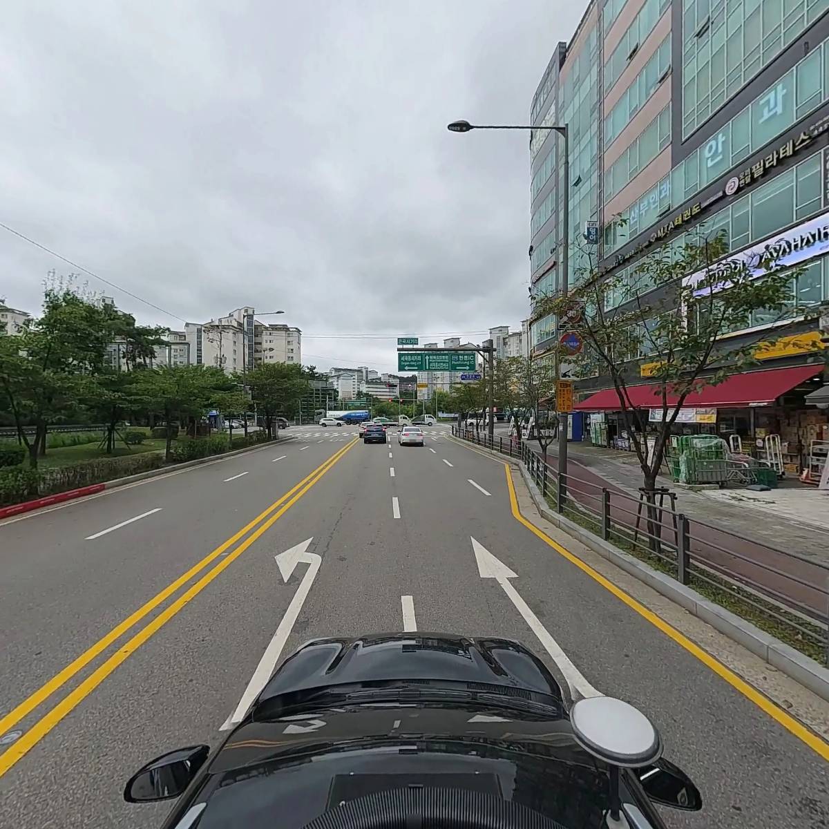 강남 레체_4