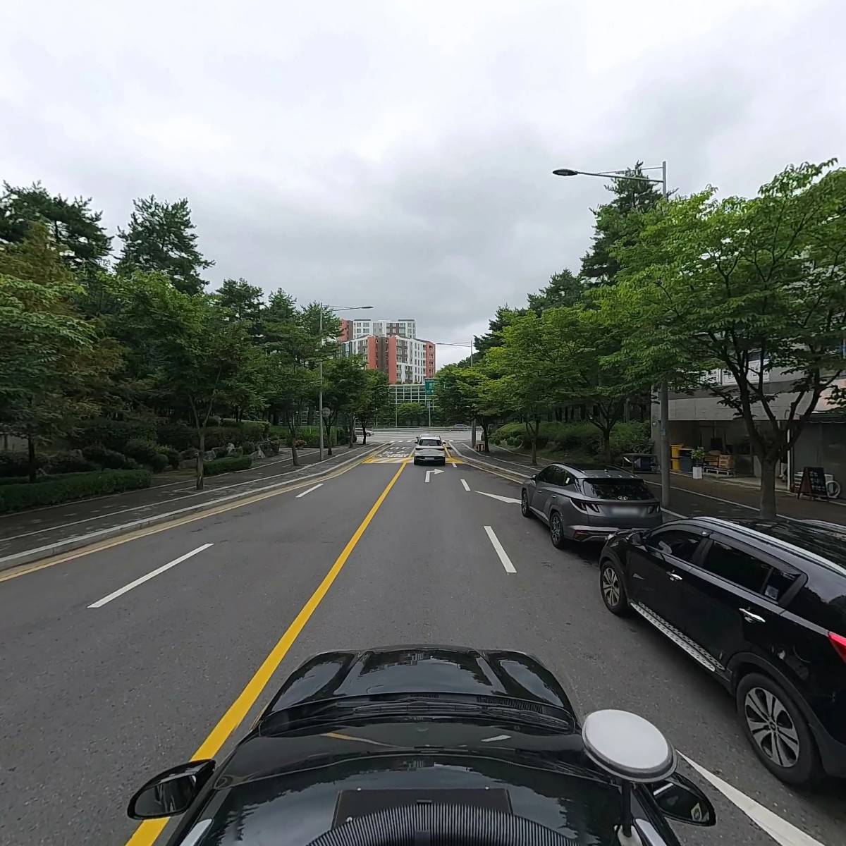 우아호핑,브라더투어,헨리로우스냅_4