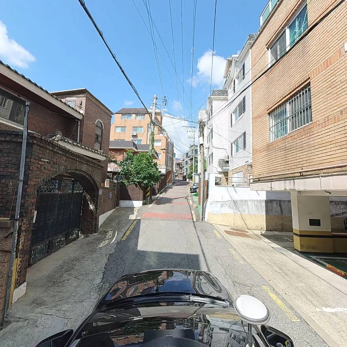 삐약이_4