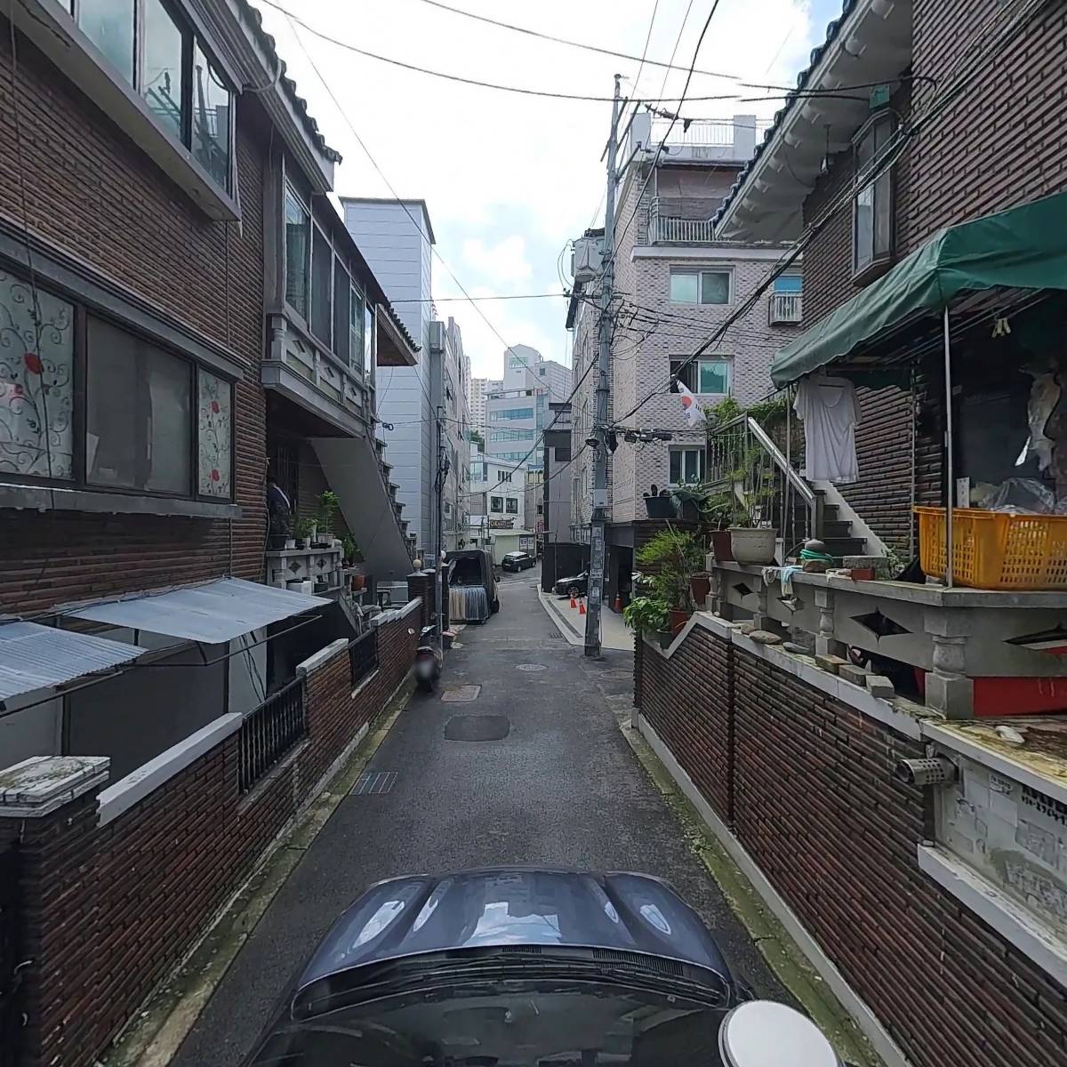 진영유통_4