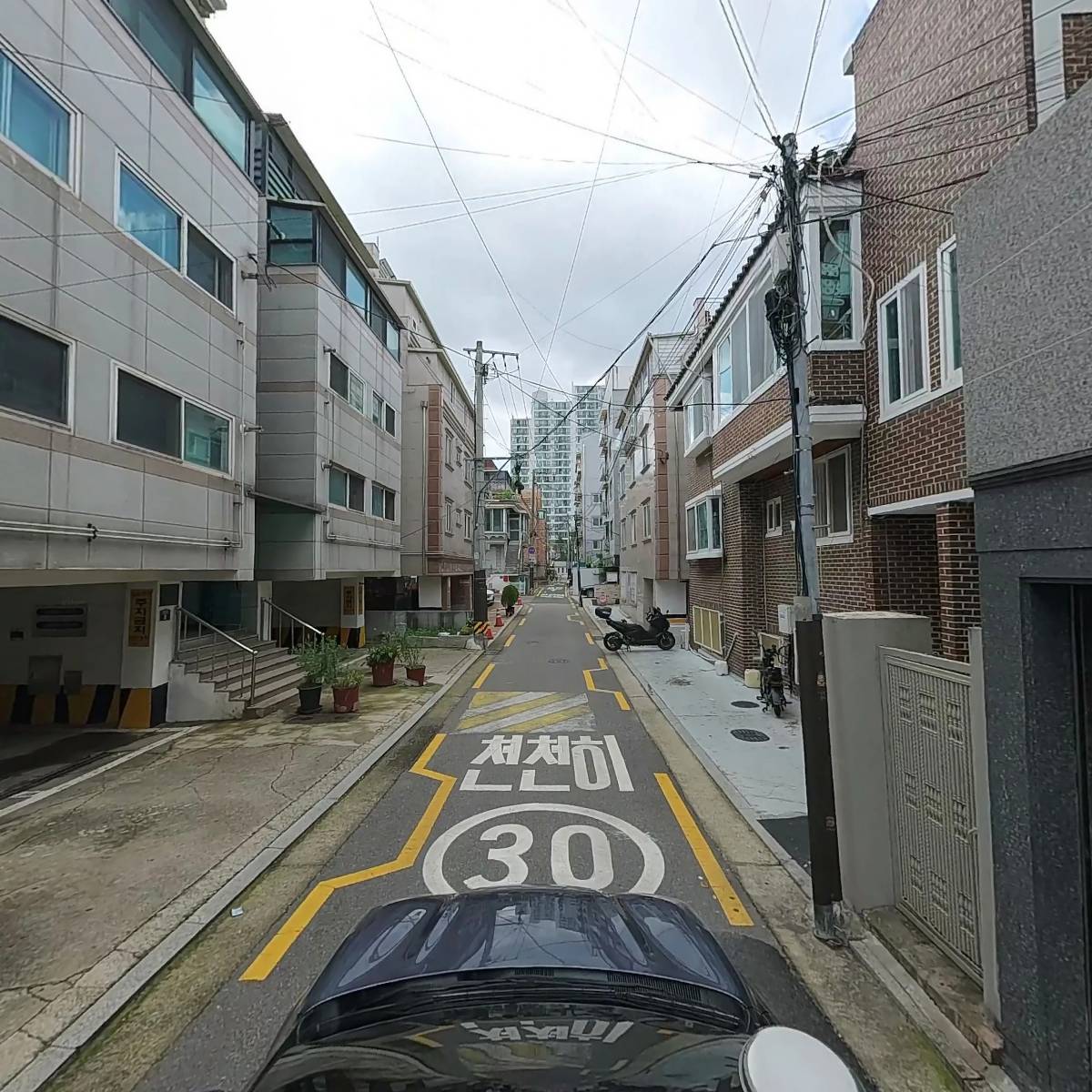 여성크로커다일_4