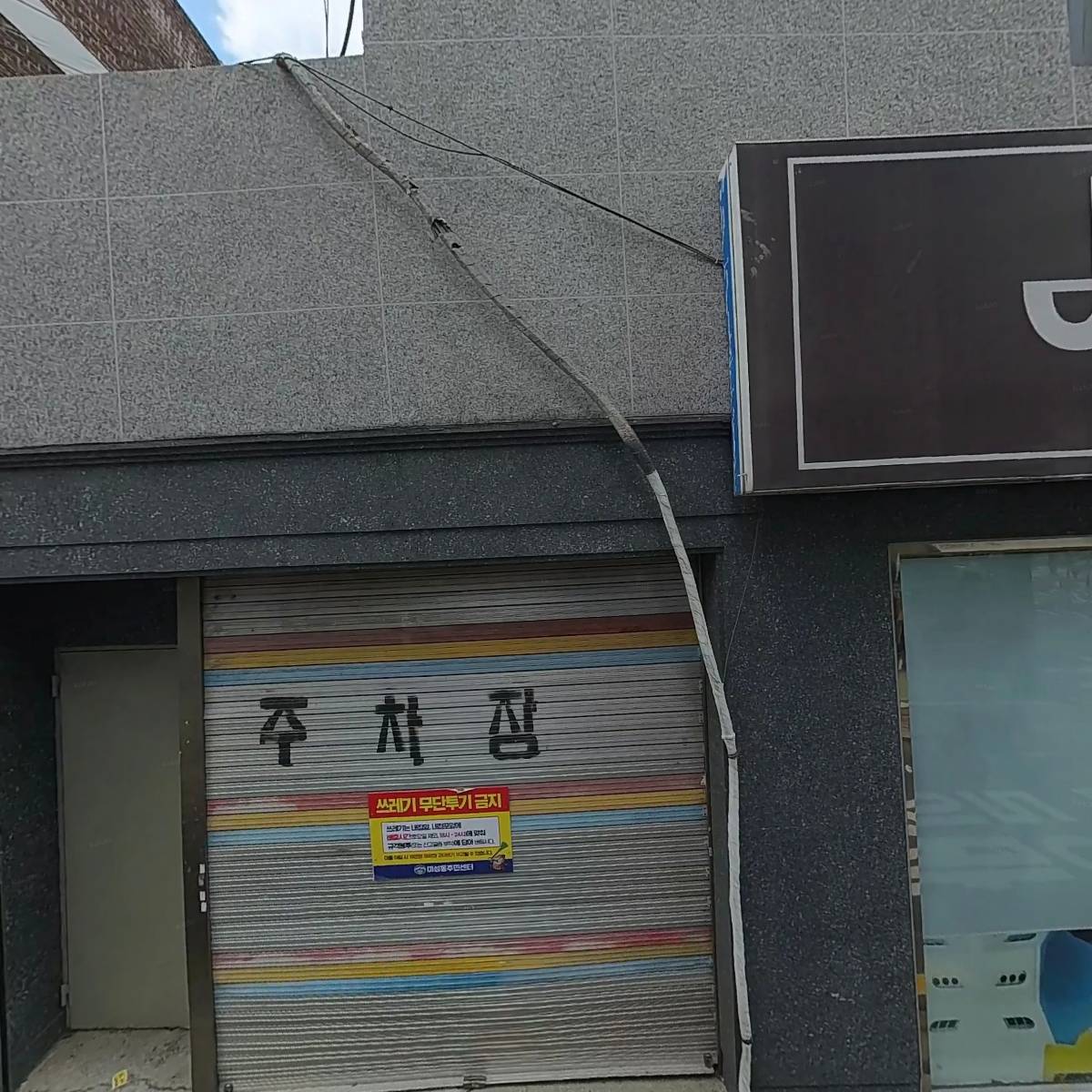 여성크로커다일