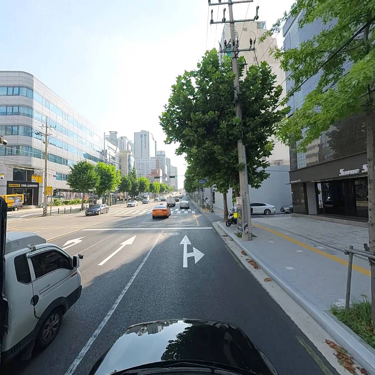 세보사우회_4