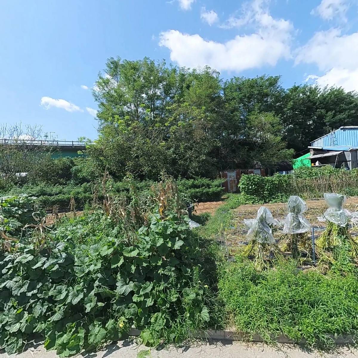 한국다이렉트마케팅