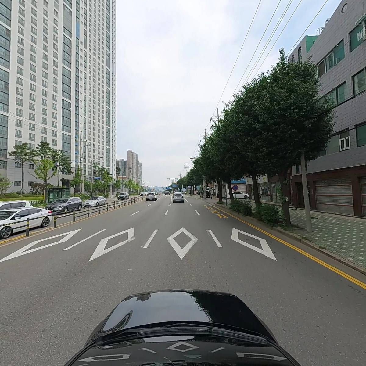 박도임_4