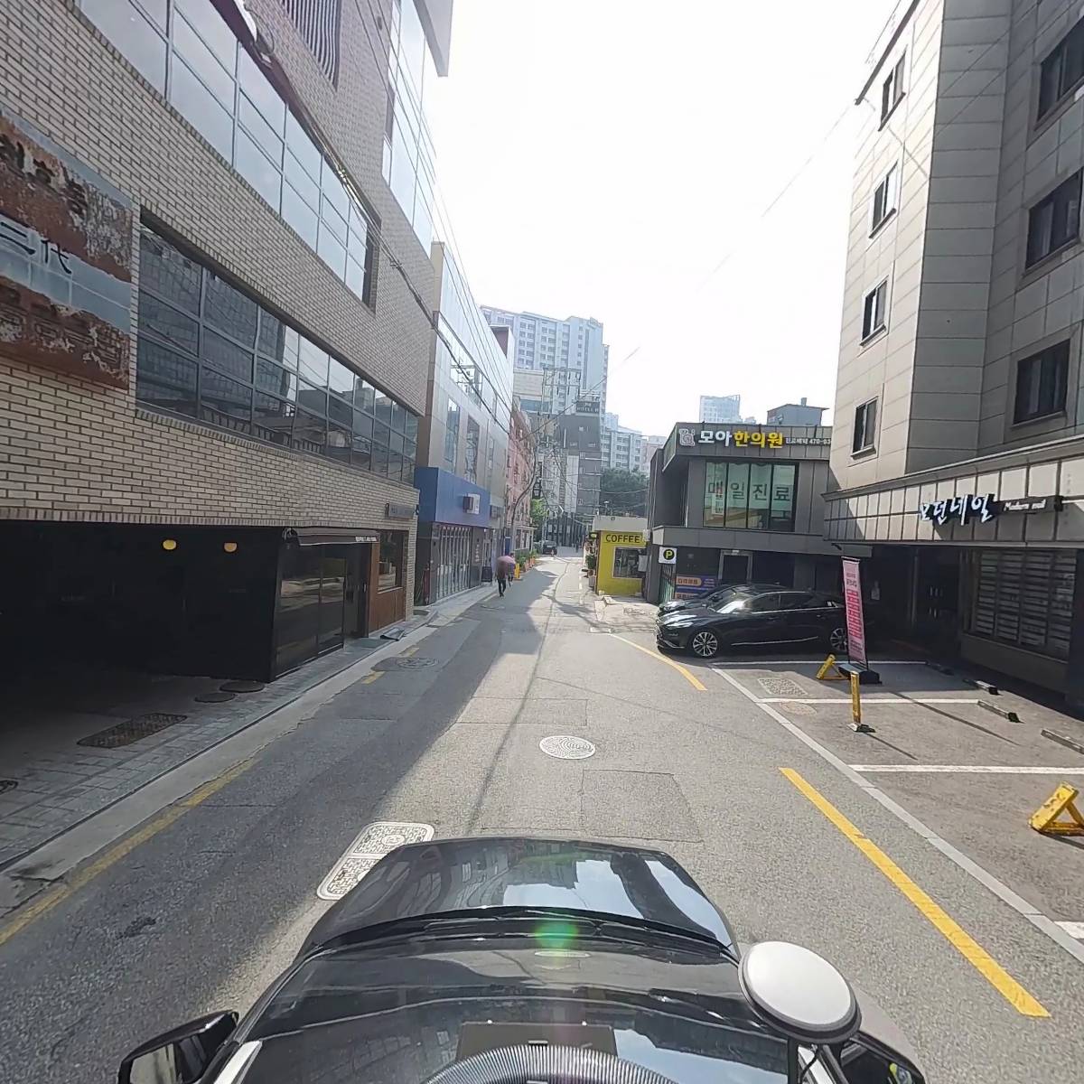 라벤더_4