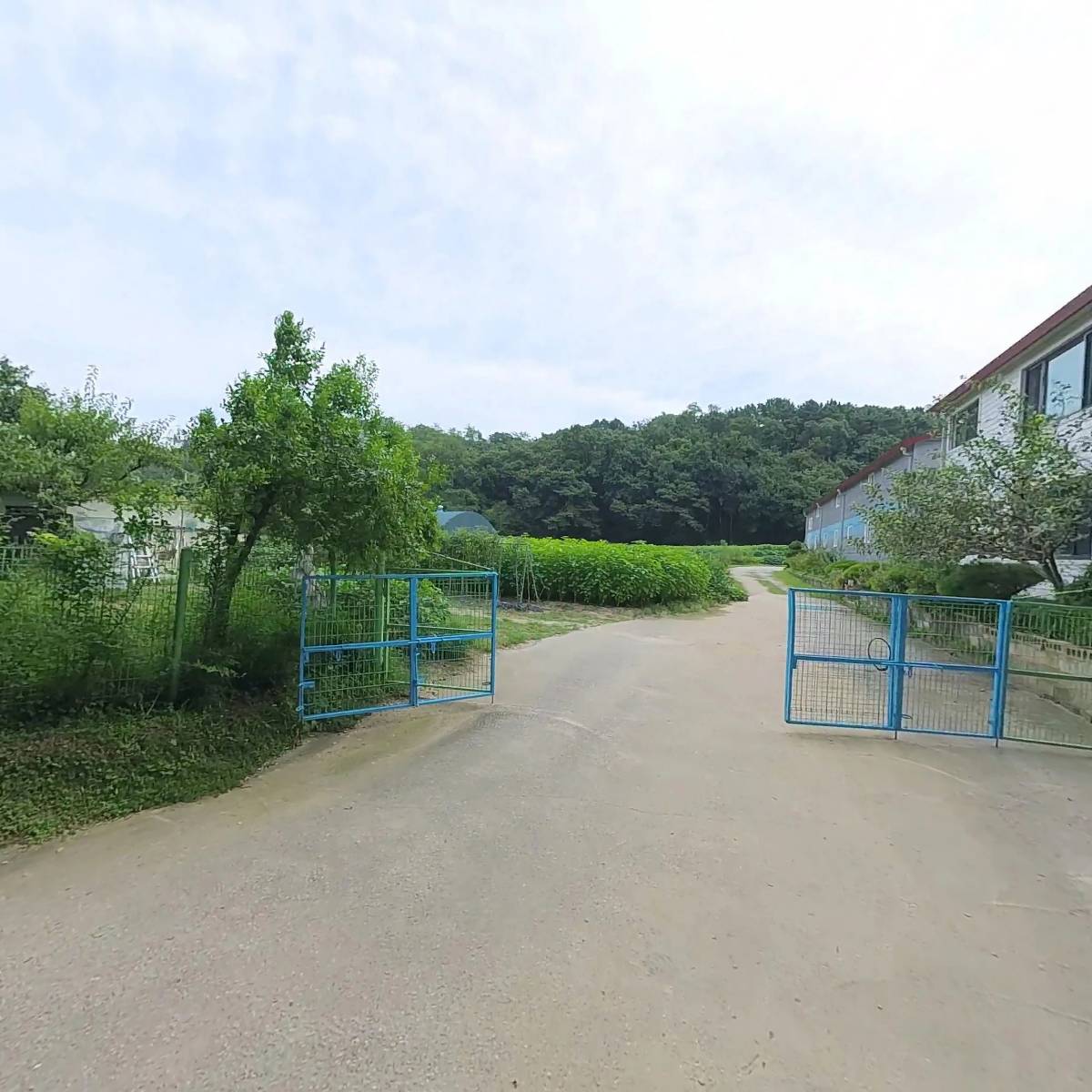인터팬_3