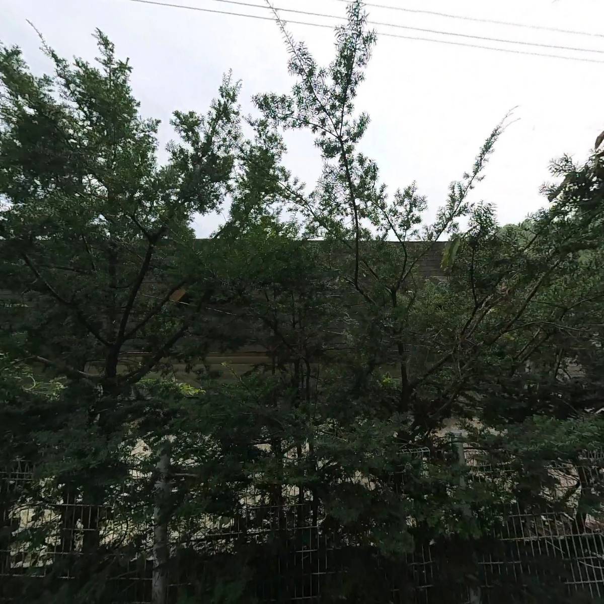 다플러스_3