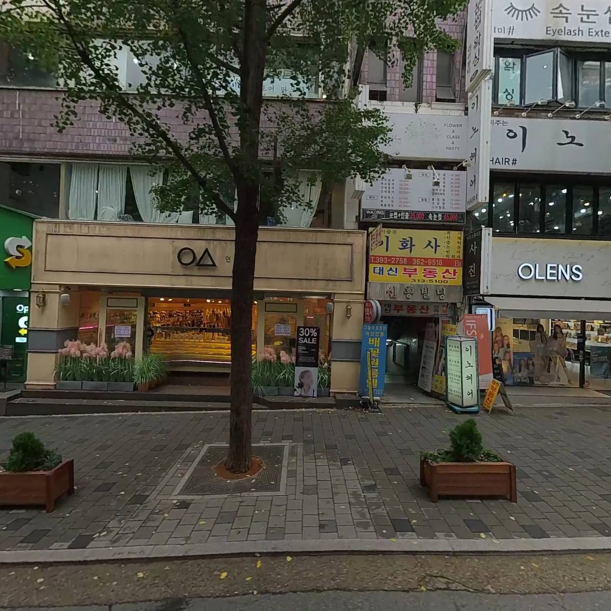 파오