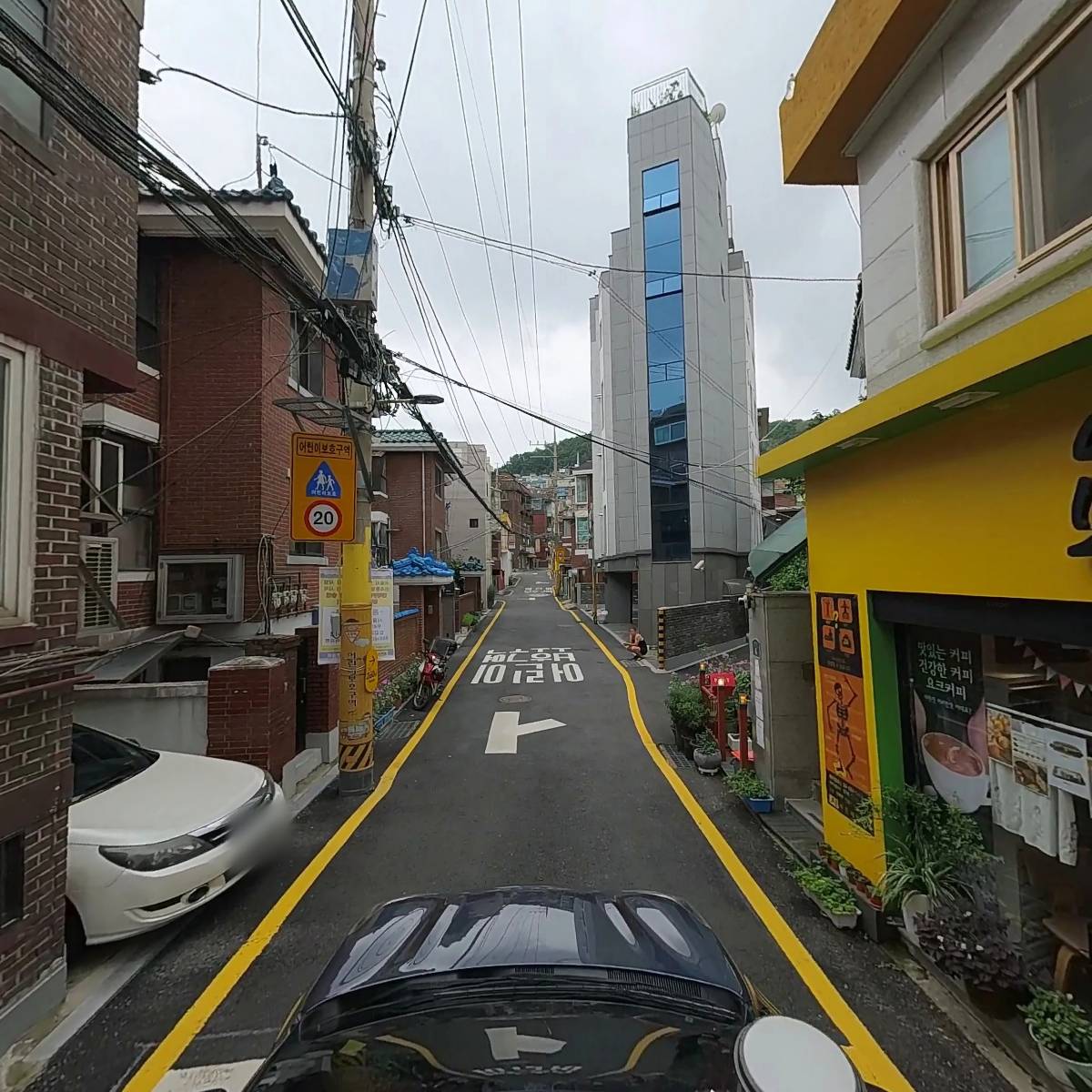 푸른냉동_4