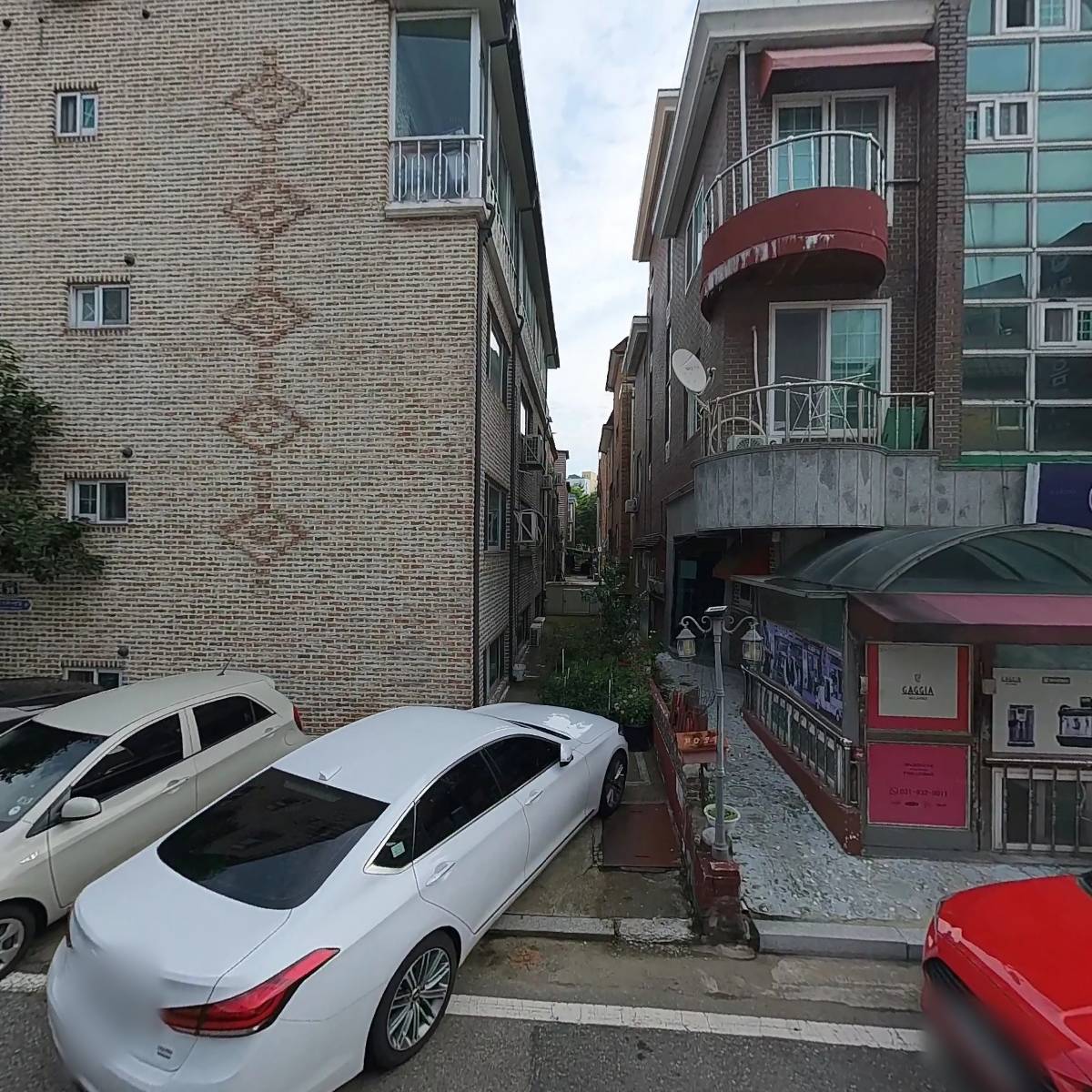 주네스 브라운_3