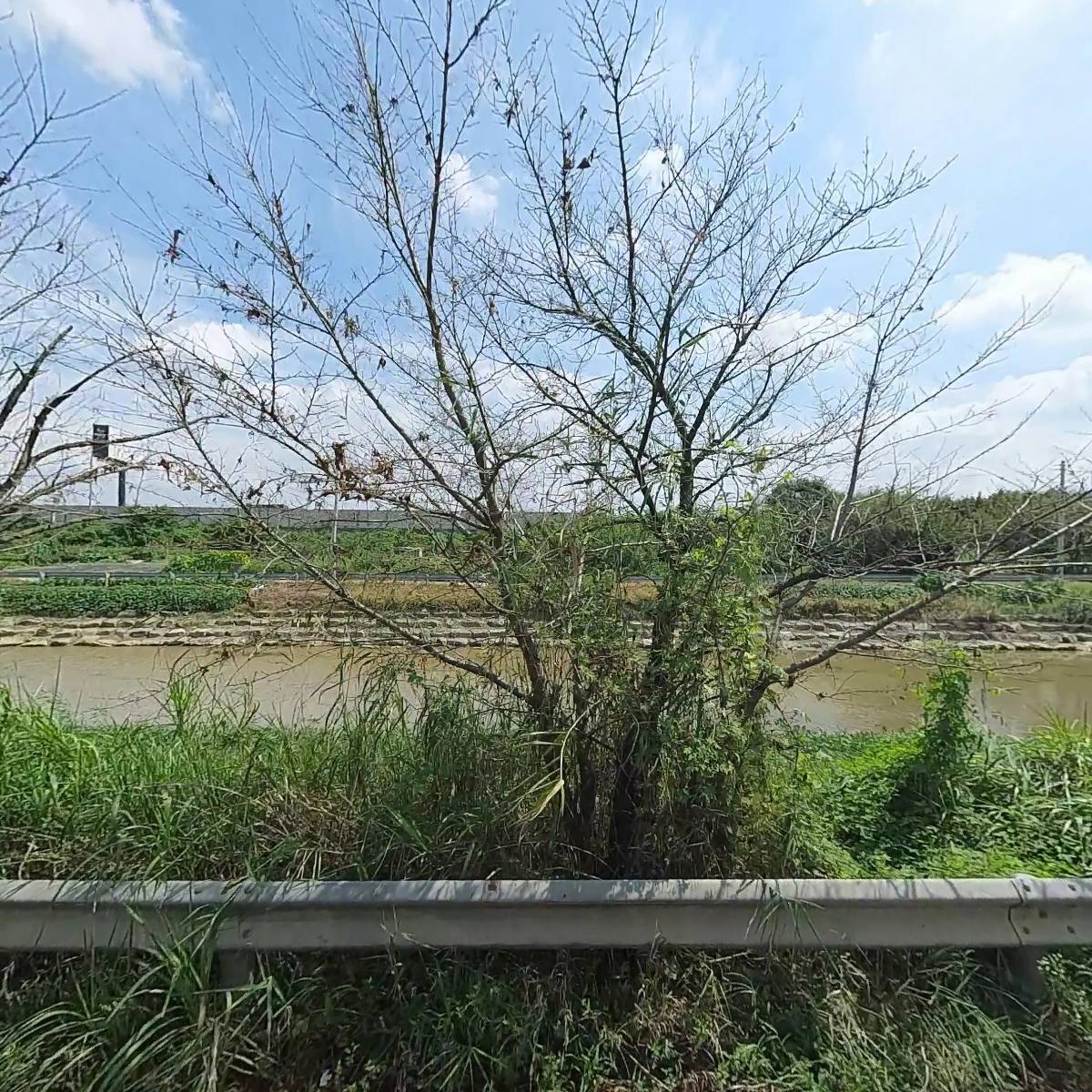 더 초이스_3