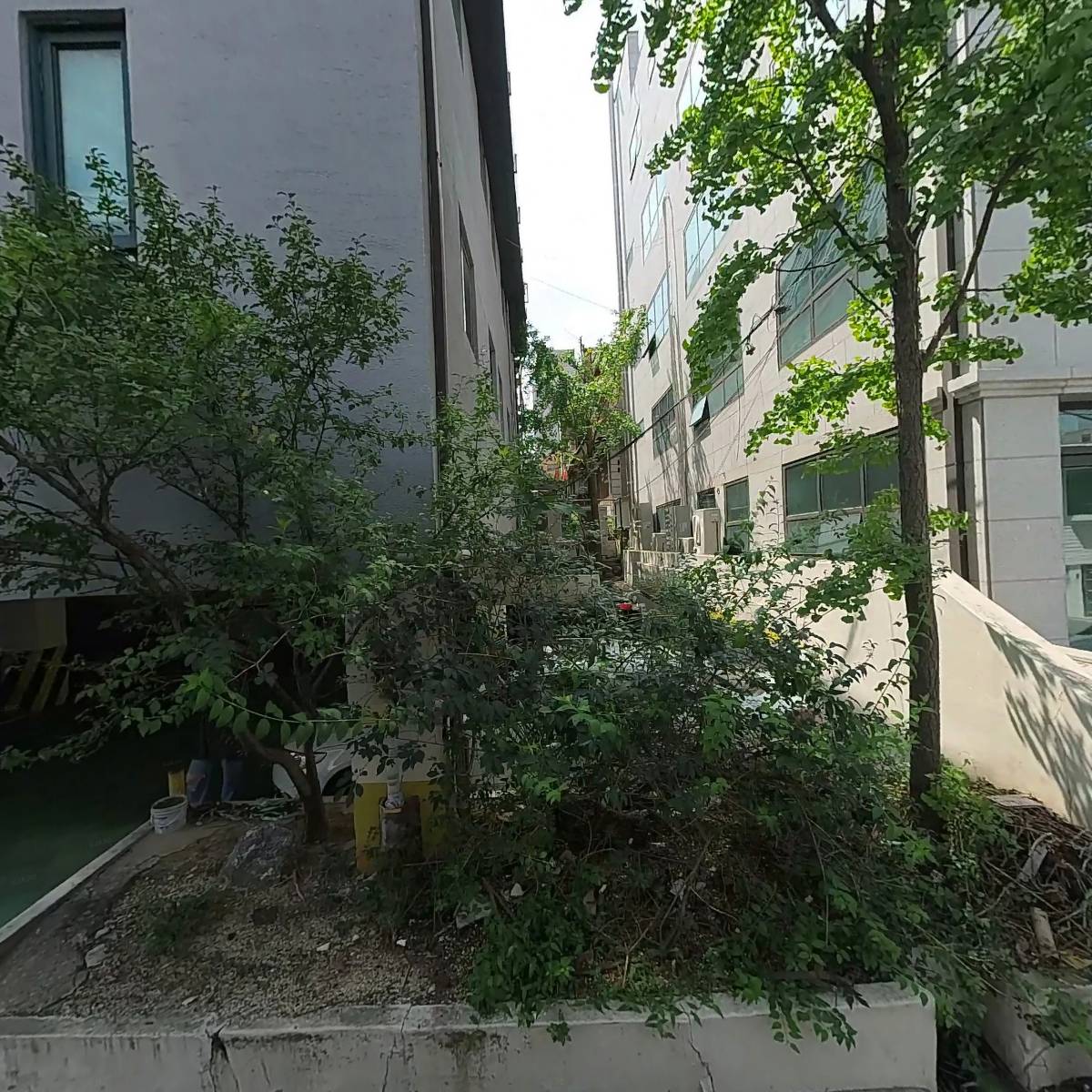 이노하이