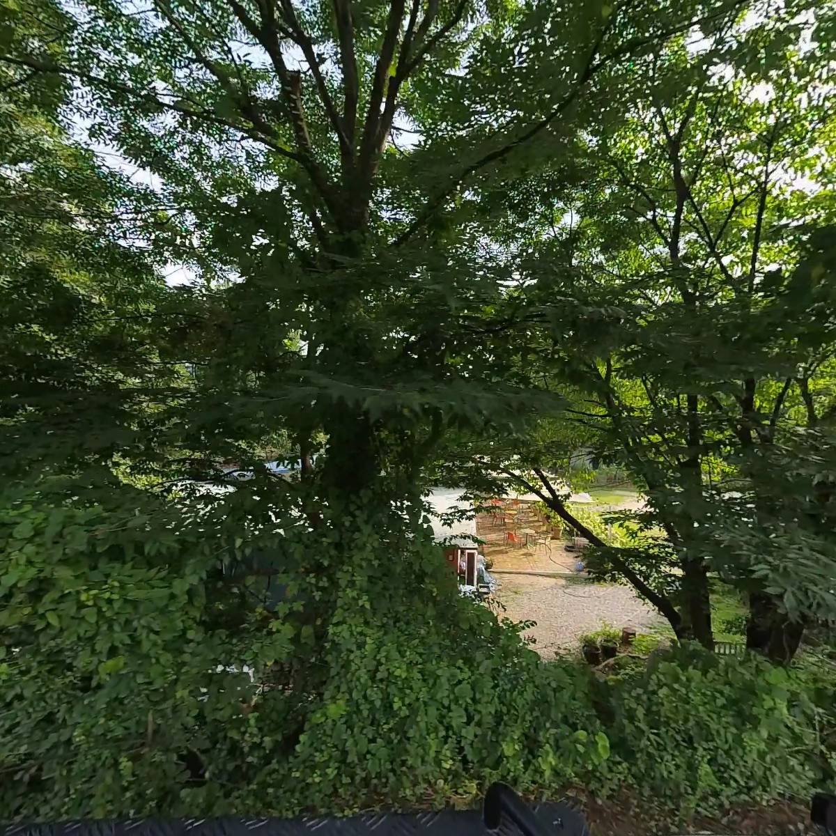 지컴퍼니 주식회사_3