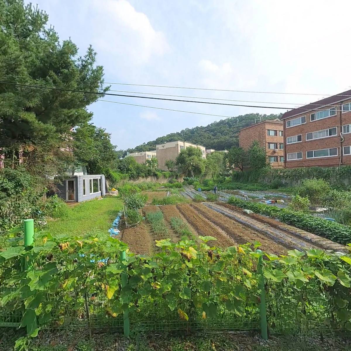 (주)니파코리아