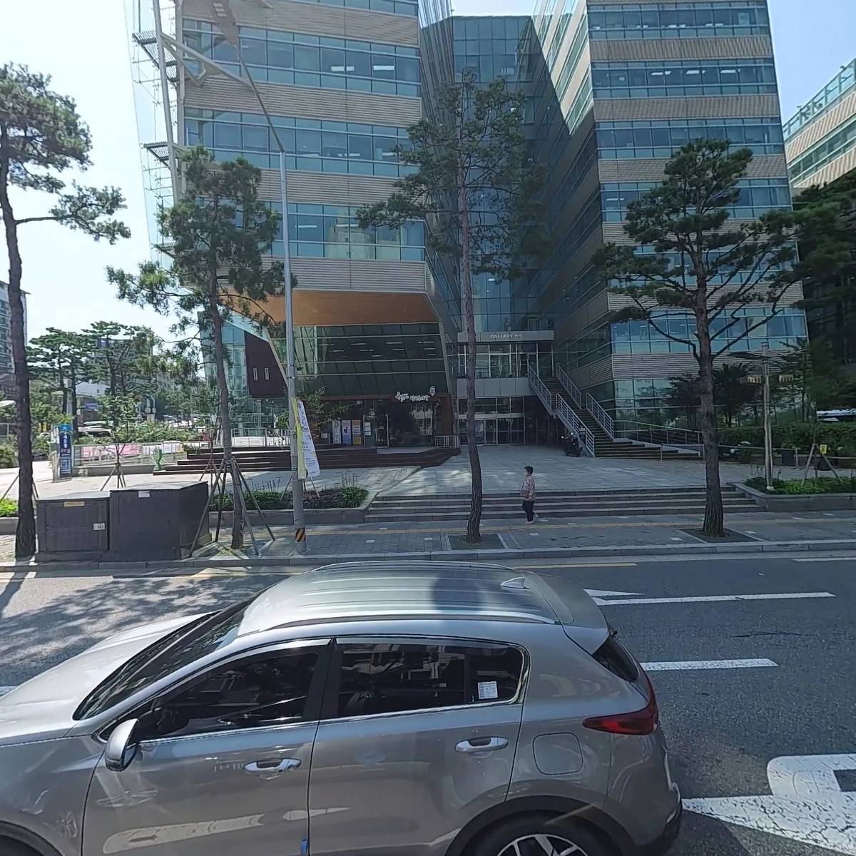 갈매기조나단