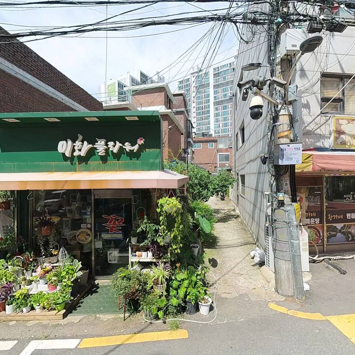 진차이나