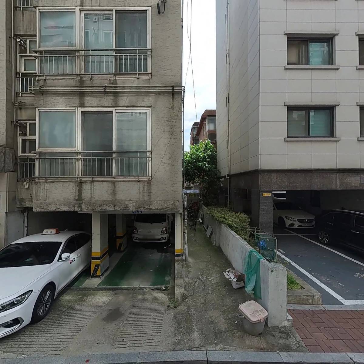 셀몬