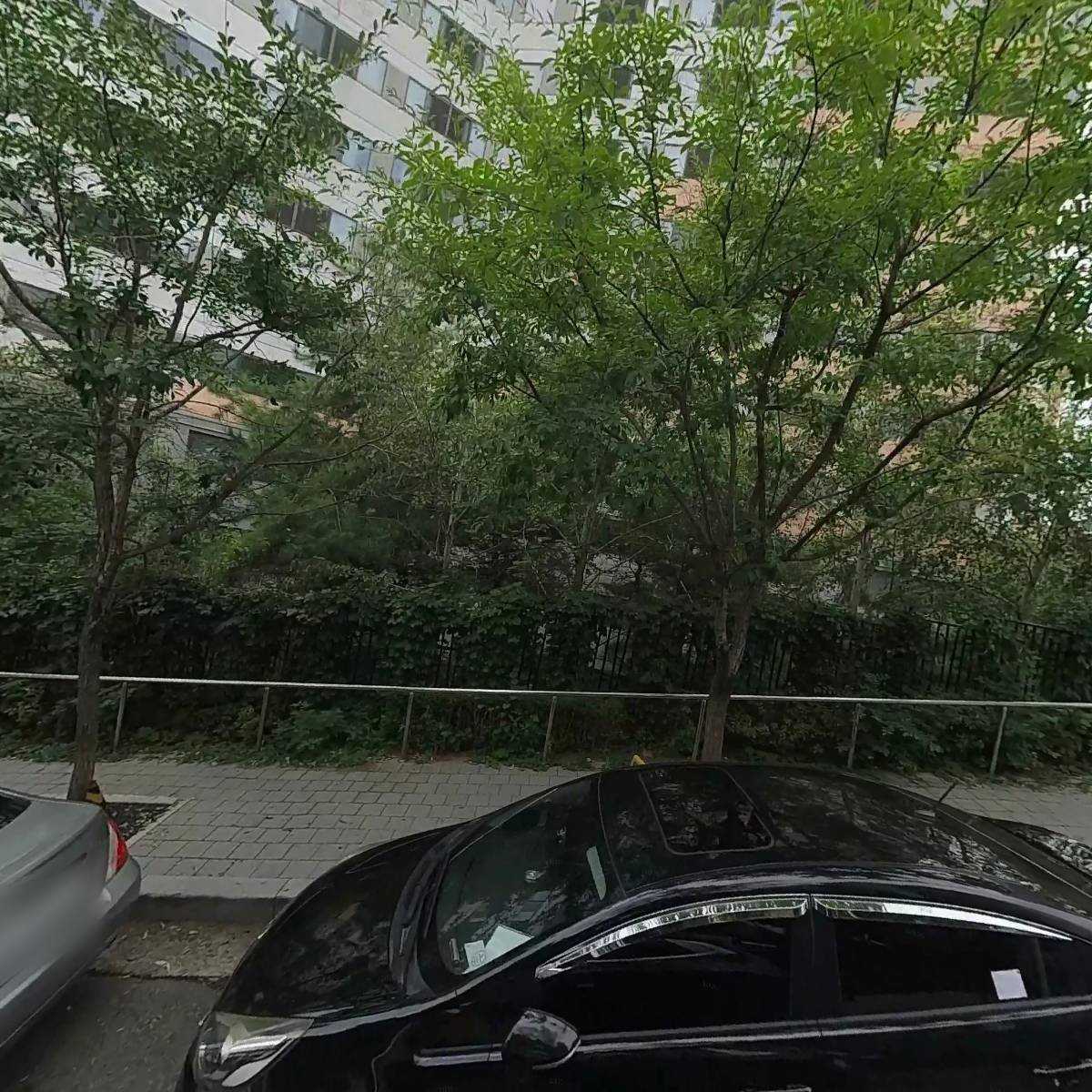 나나모이
