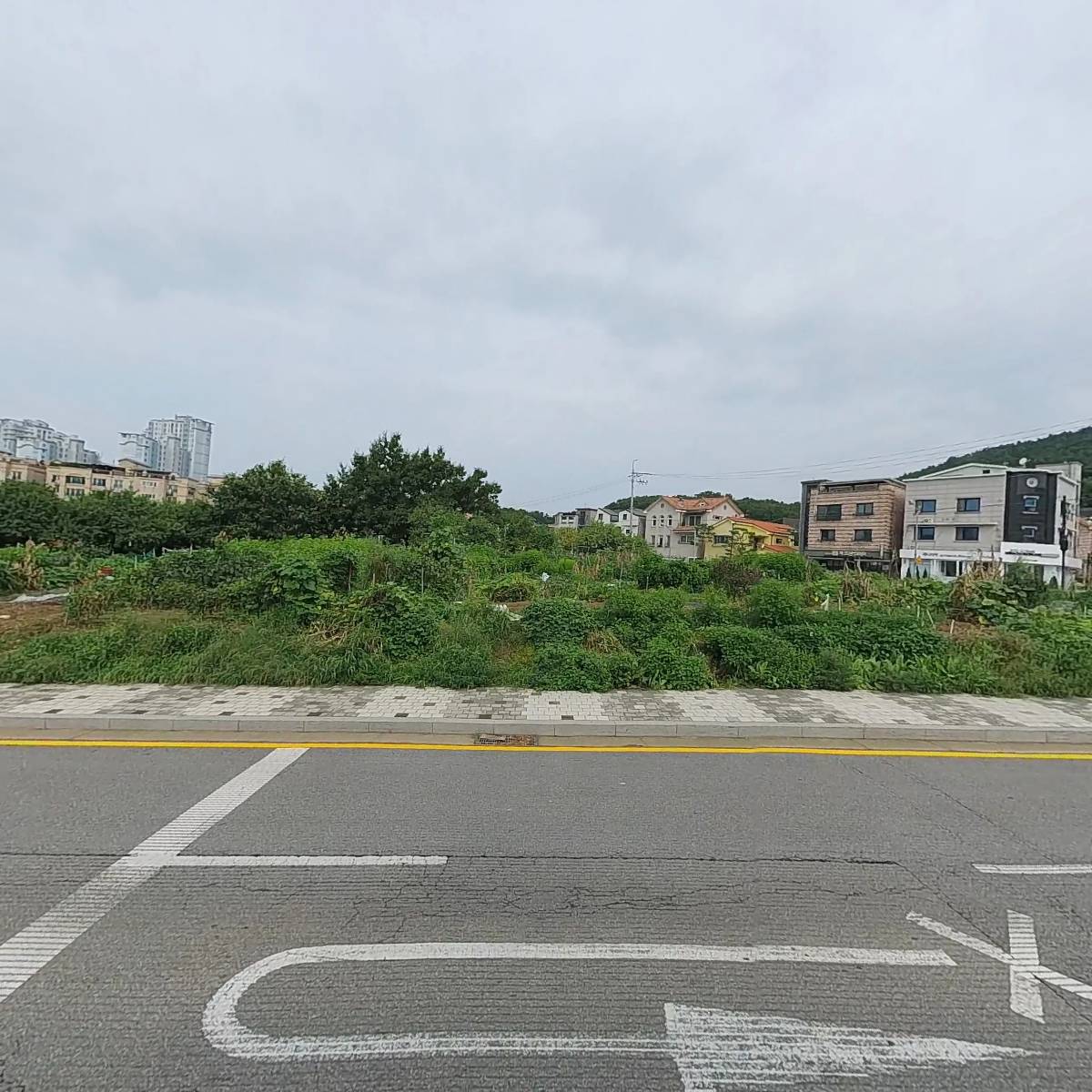 부추꽃 요양원_3