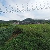 하늘담다
