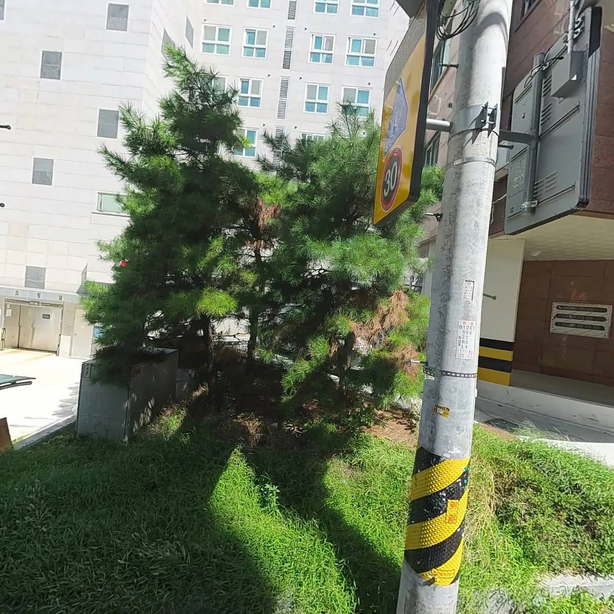 주식회사 위즈메드(Wise med)